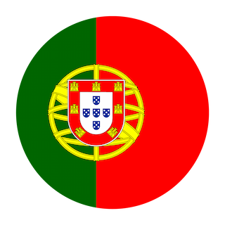 icon-lang
